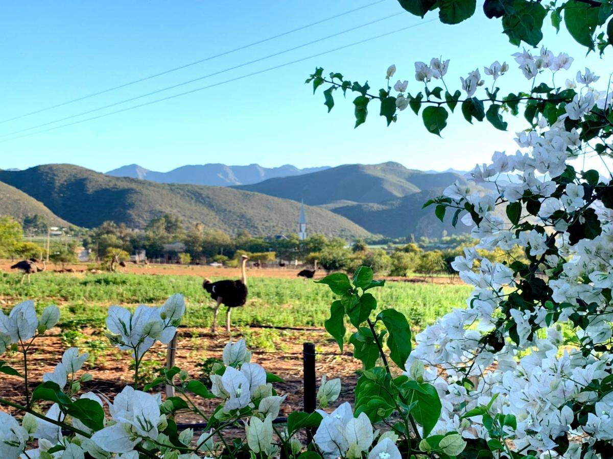 Berluda Farmhouse And Cottages Oudtshoorn Exteriör bild