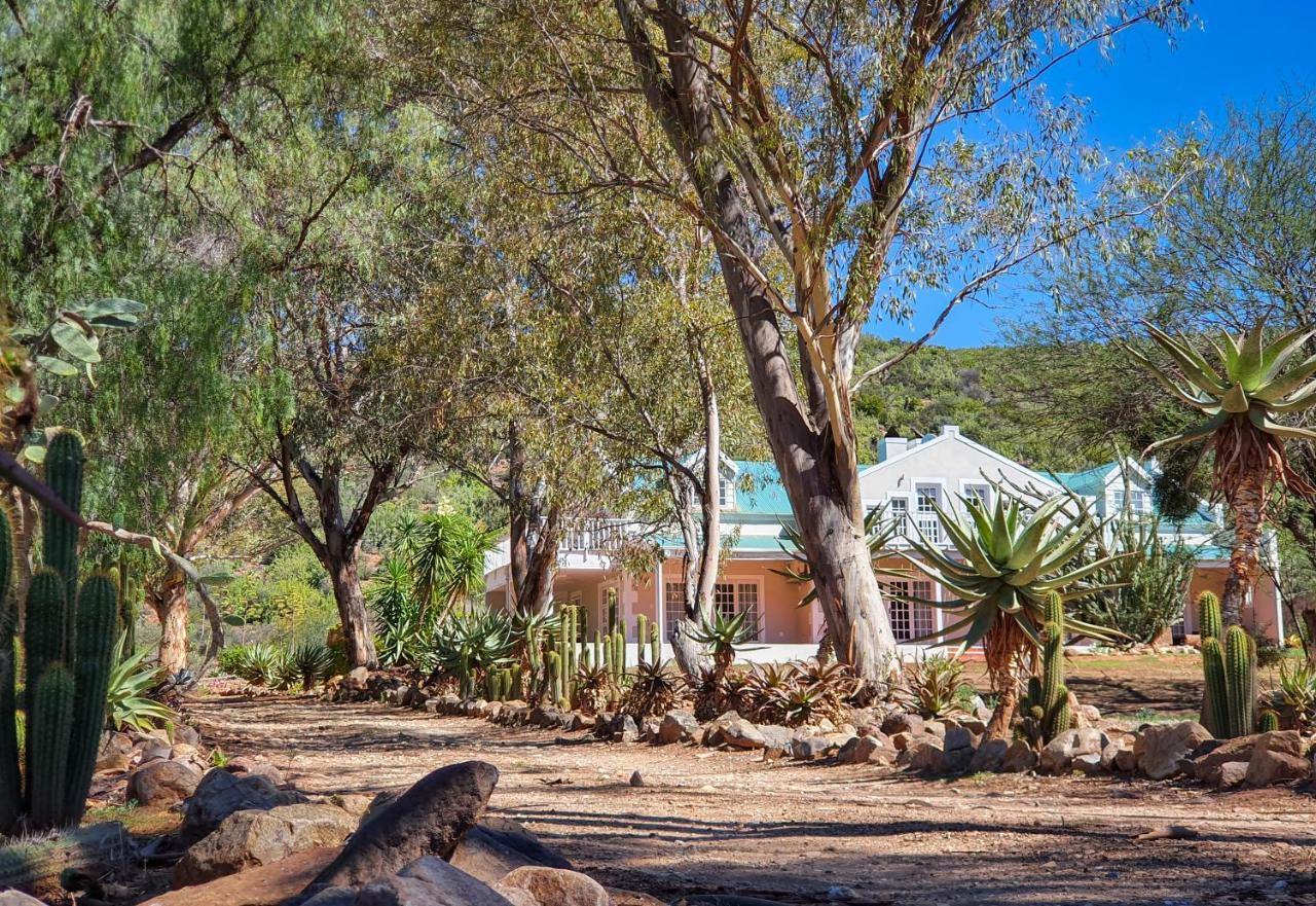 Berluda Farmhouse And Cottages Oudtshoorn Exteriör bild